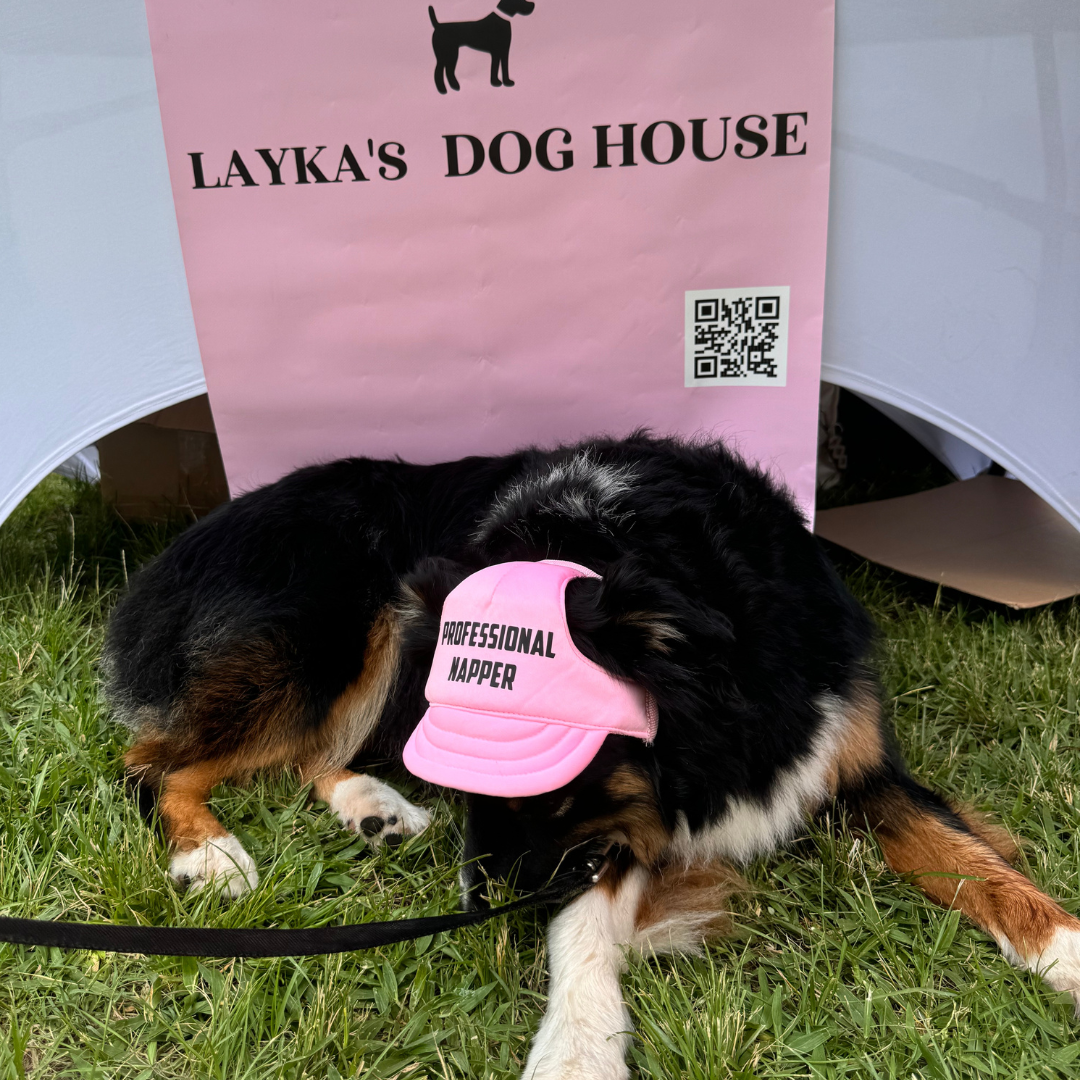 "Professional Napper" Custom Dog Hat