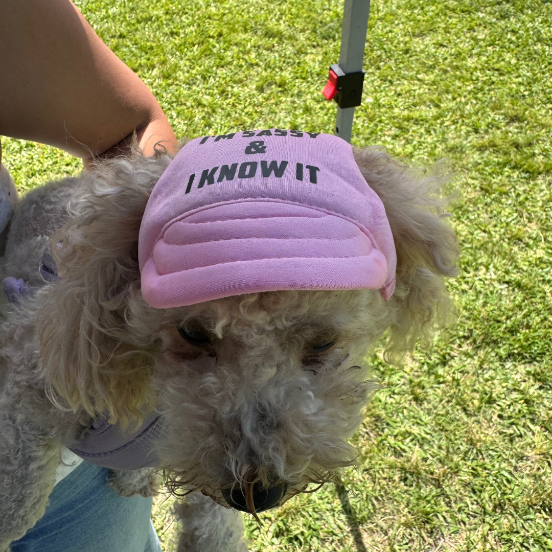"I'm Sassy & I Know It" Custom Dog Hat