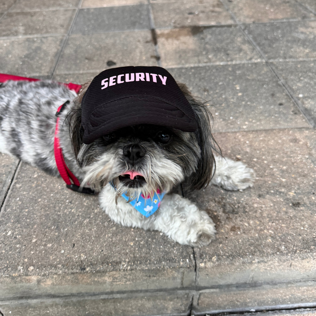 "Security" Custom Dog Hat