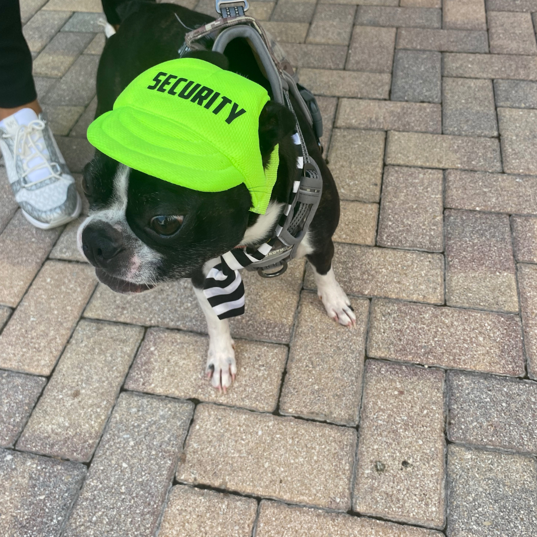 "Security" Custom Dog Hat