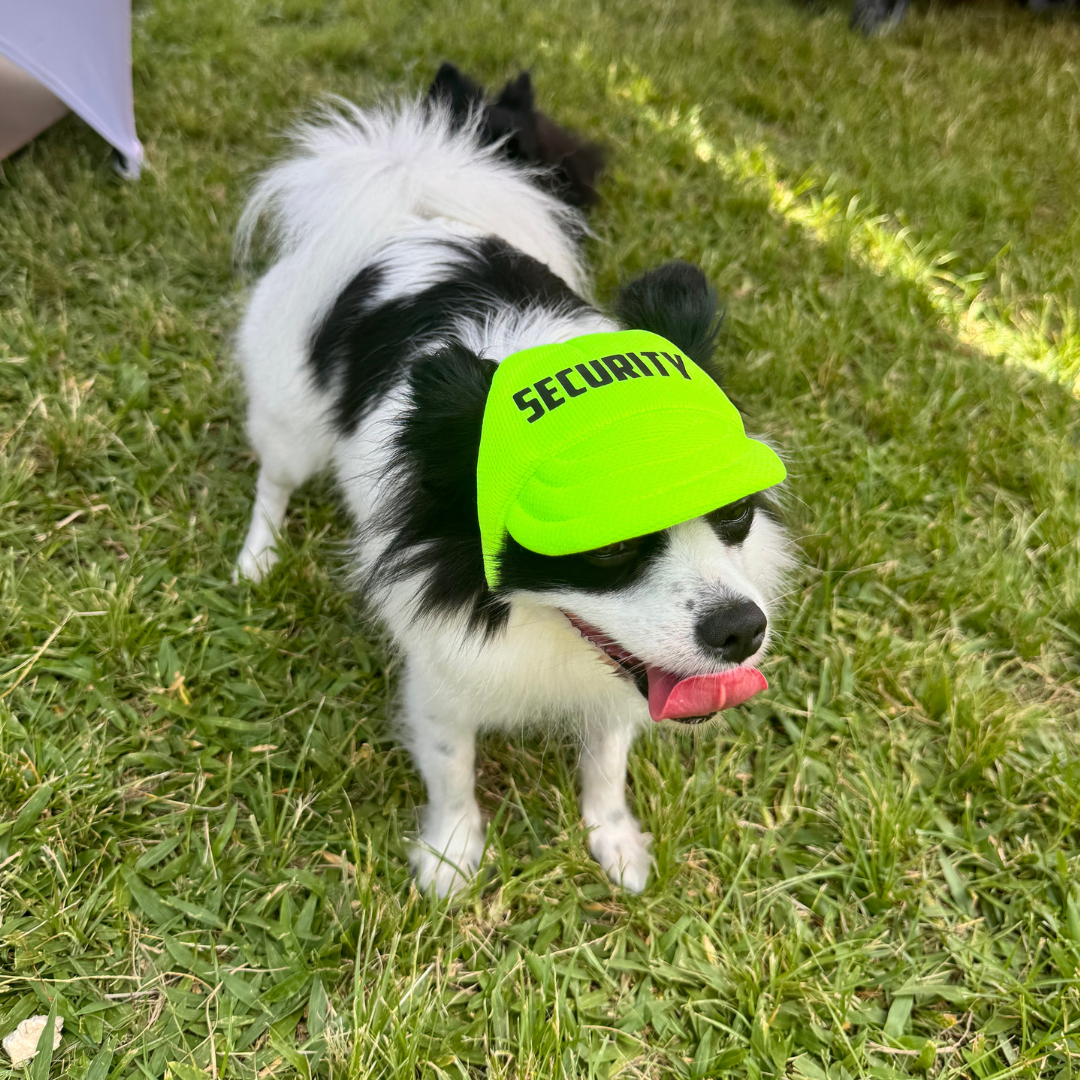 "Security" Custom Dog Hat