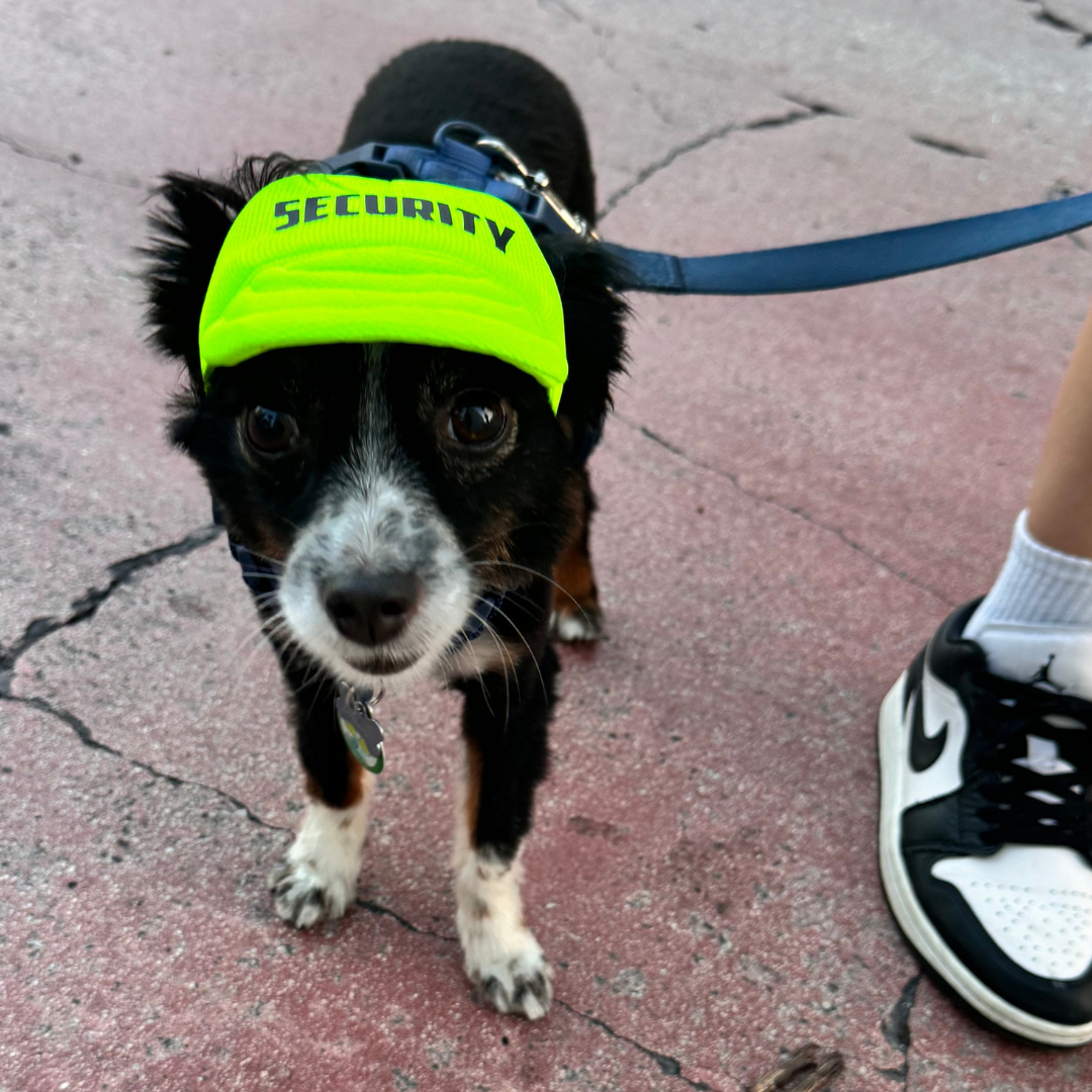 "Security" Custom Dog Hat