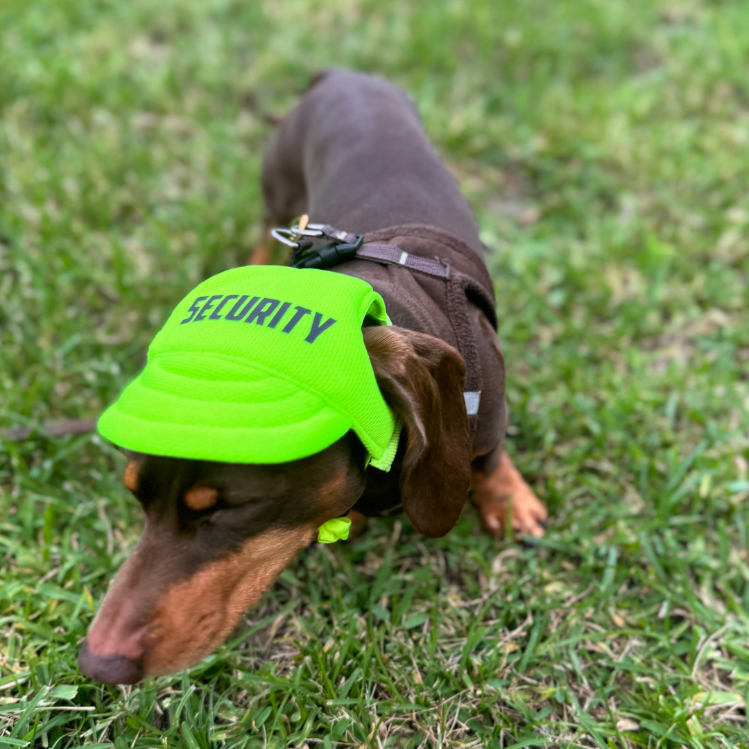 "Security" Custom Dog Hat