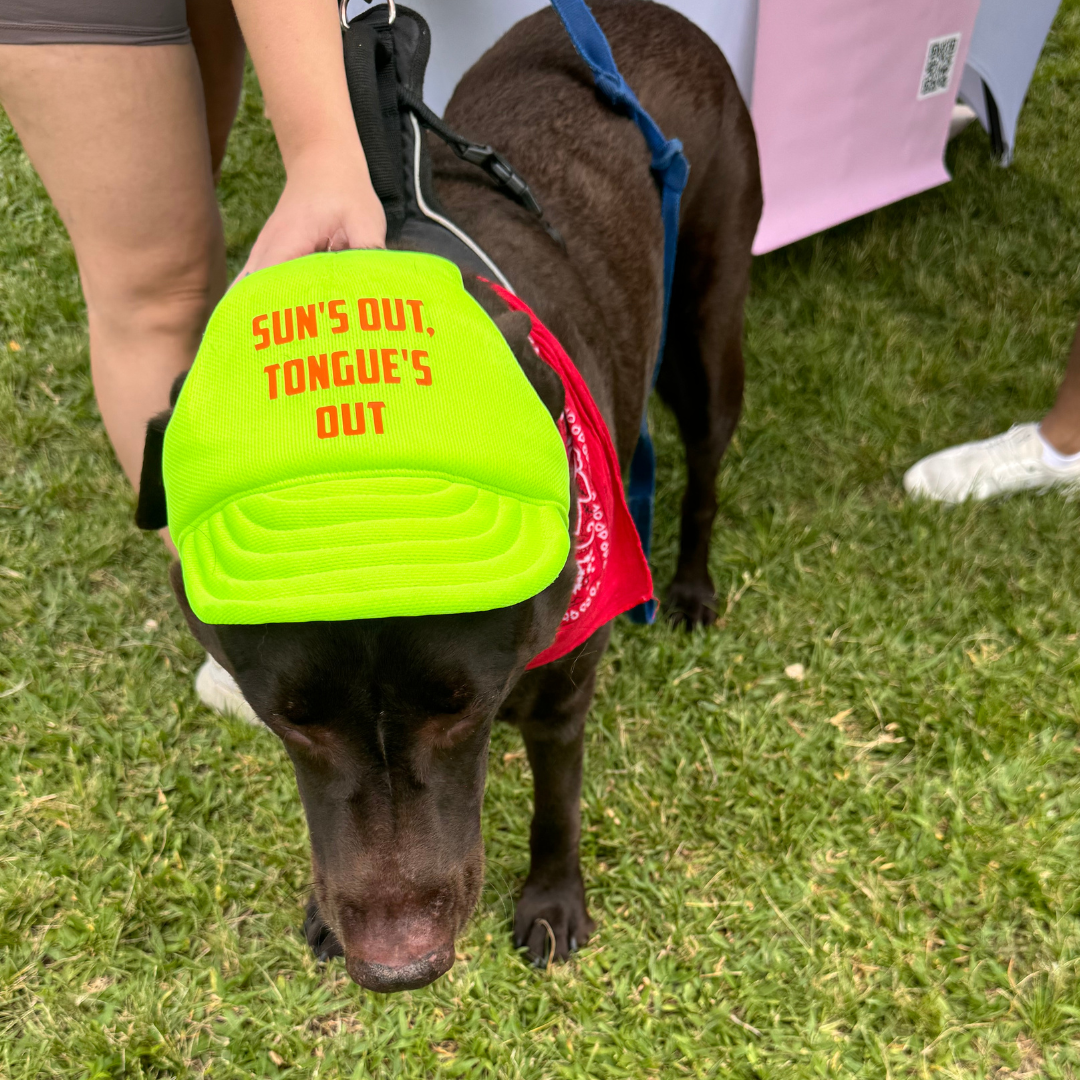 "Sun's Out Tongue's Out" Custom Dog Hat
