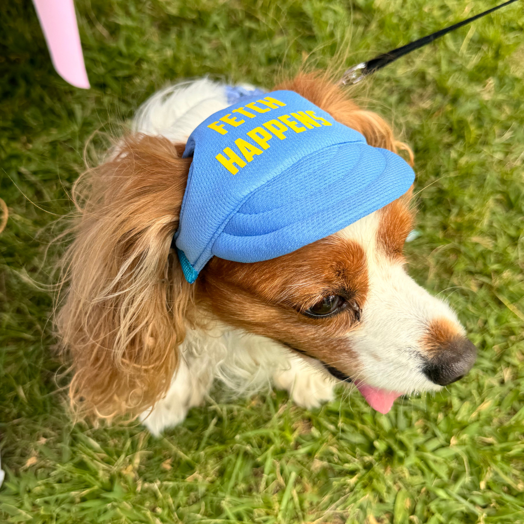 "Fetch Happens" Custom Dog Hat