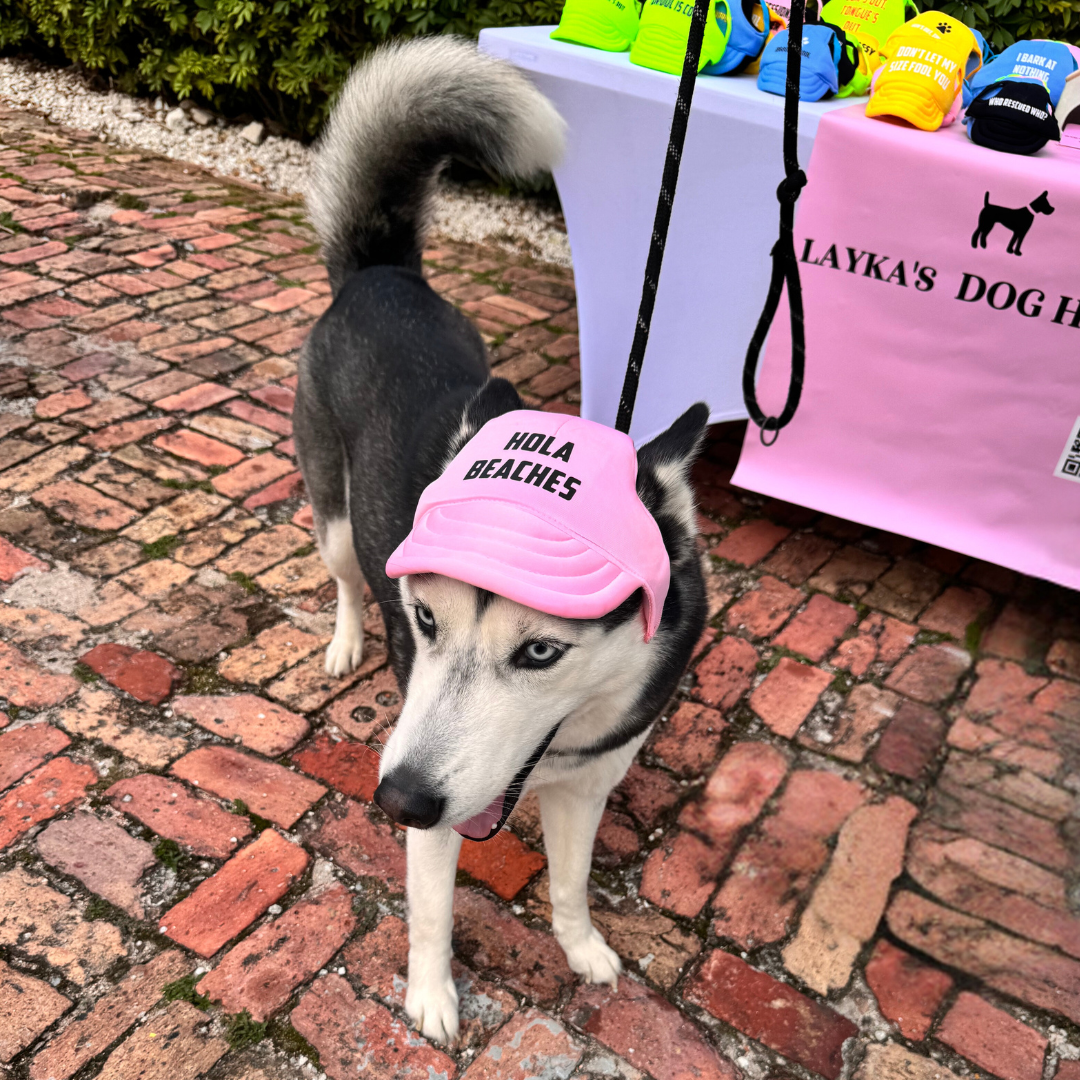 "Hola Beaches" Custom Dog Hat