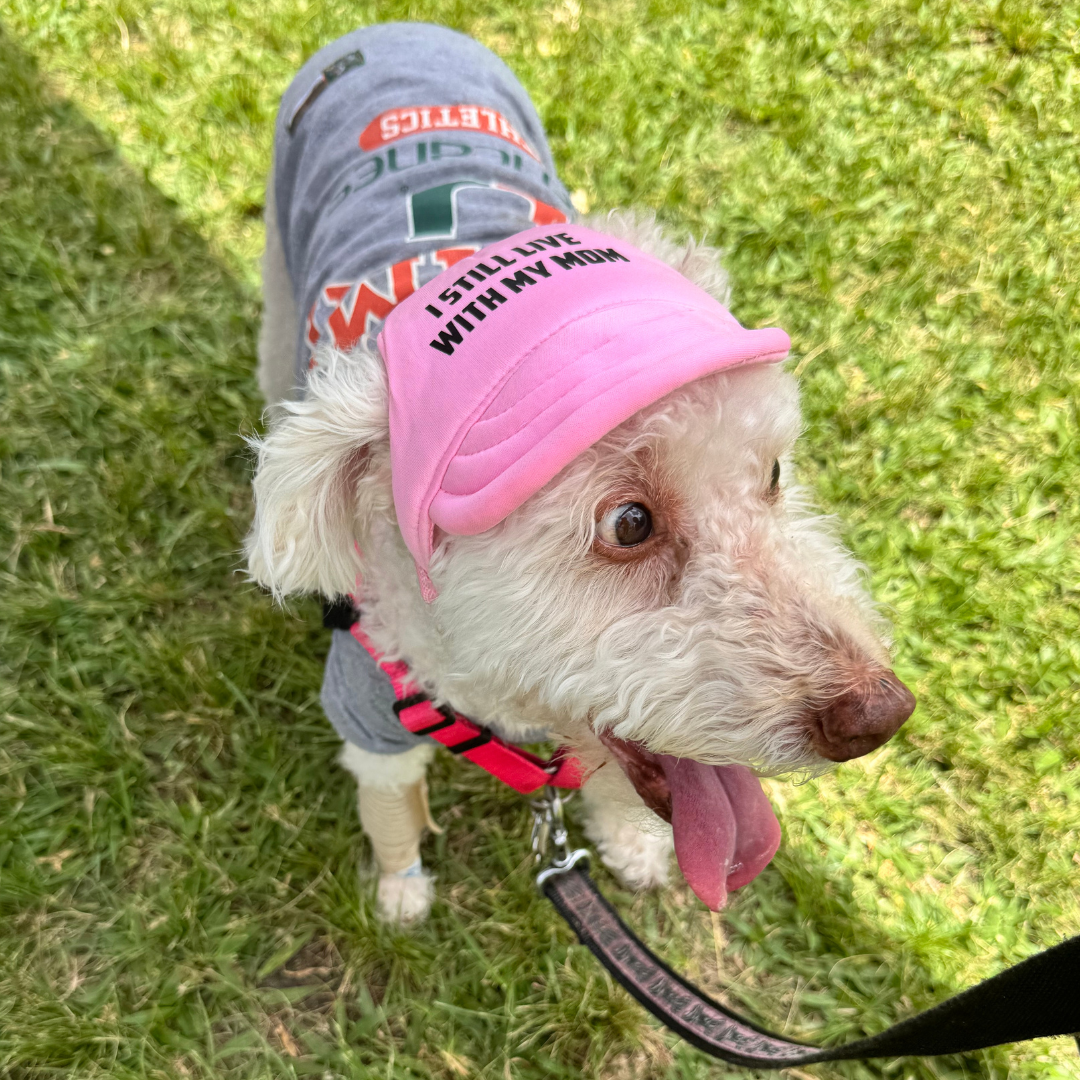"I Still Live With My Mom" Custom Dog Hat